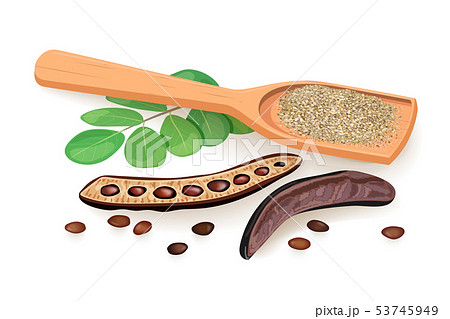 Ripe Carob husk, branch with sweet pods, leaves 53745949