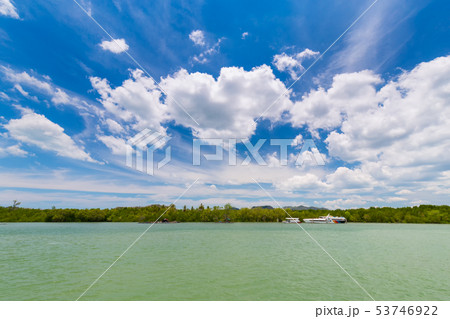 Beautiful sky, clear sea and mangrove forests  53746922