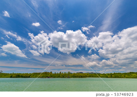 Beautiful sky, clear sea and mangrove forests  53746923