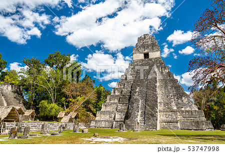Temple of the Great Jaguar at Tikal in Guatemala Temple of the Great Jaguar at Tikal in Guatemala 53747998