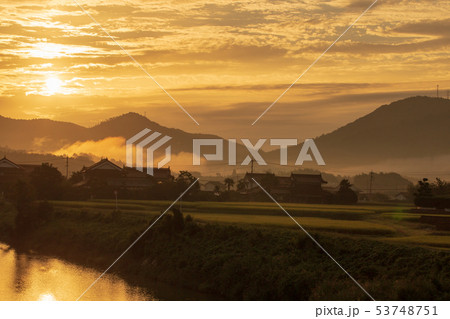 川辺の日の出 53748751