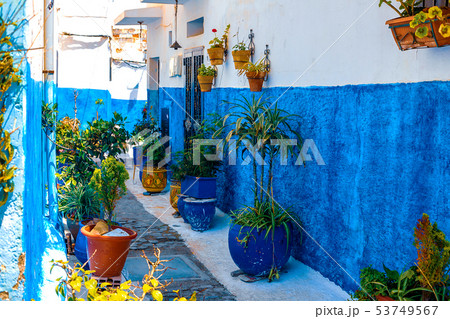 Blue and White Street in the Kasbah des Oudaias in 53749567