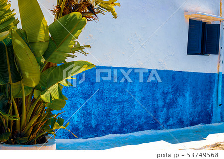 Blue and White Street in the Kasbah des Oudaias in 53749568