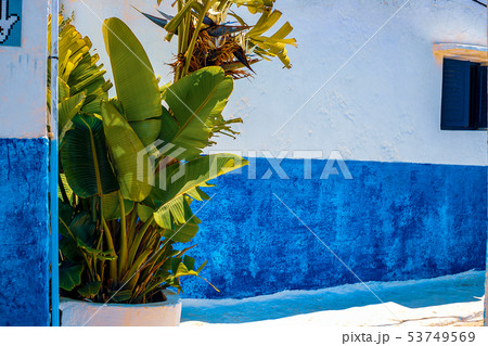 Blue and White Street in the Kasbah des Oudaias in 53749569