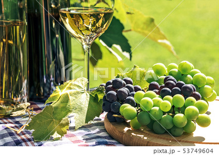 Wine and fresh grapes in a rustic vineyard 53749604
