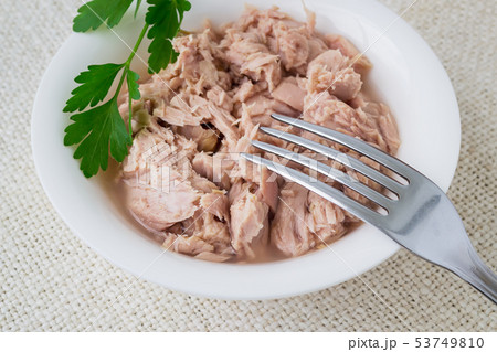 Canned tuna fillet in white bowl, fork and parsley Canned tuna fillet in white bowl, fork and parsley 53749810