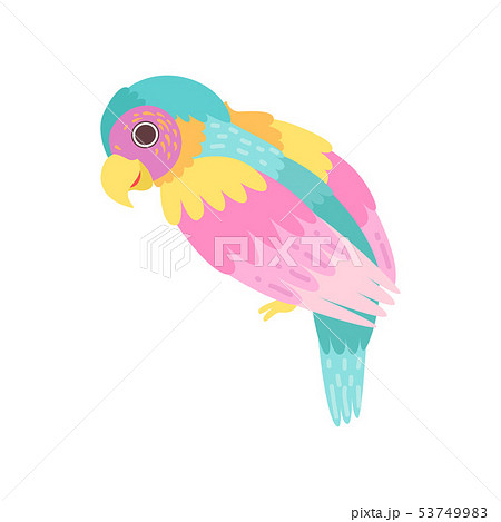Tropical Parrot Bird with Colored Plumage Vector Illustration 53749983