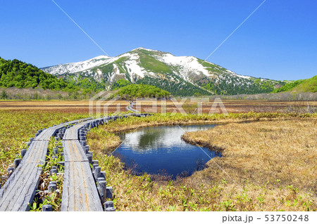 池塘に映る残雪の至仏山 53750248