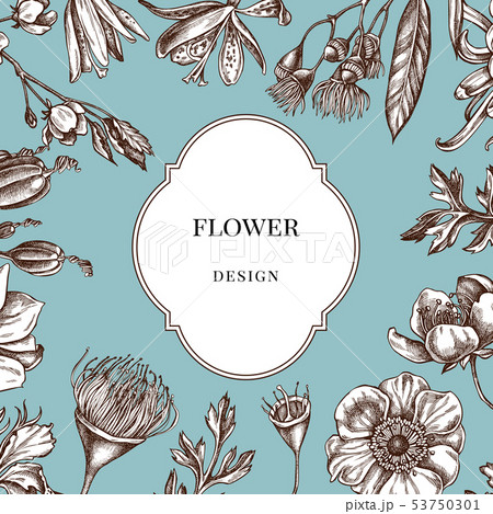 Badge over design with japanese chrysanthemum, blackberry lily, eucalyptus flower, anemone, iris 53750301