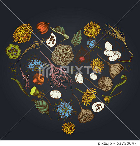Heart floral design on dark background with black caraway, feather grass, helichrysum, lotus Heart floral design on dark background with black caraway, feather grass, helichrysum, lotus 53750647