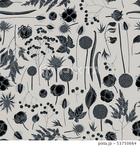 Seamless pattern with hand drawn stylized astilbe, craspedia, blue eryngo, lagurus, cotton 53750664