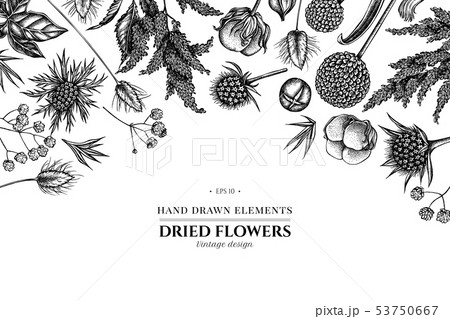 Floral design with black and white astilbe, craspedia, blue eryngo, lagurus, cotton, gypsophila 53750667