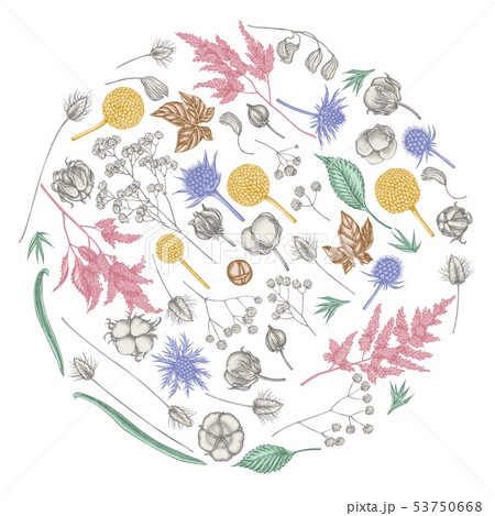 Round floral design with pastel astilbe, craspedia, blue eryngo, lagurus, cotton, gypsophila 53750668