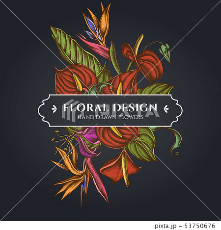 Floral bouquet dark design with gloriosa, anthurium, strelitzia 53750676