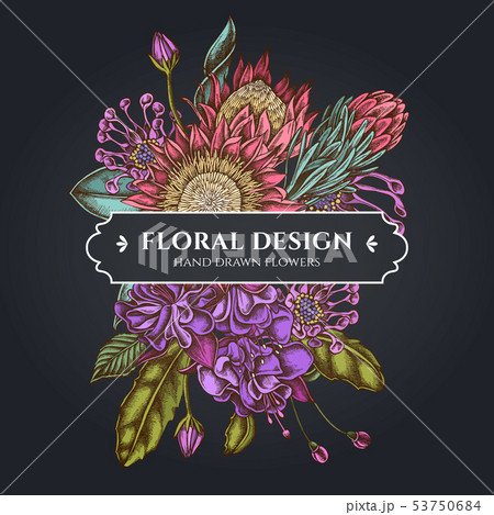 Floral bouquet dark design with african daisies, fuchsia, king protea 53750684