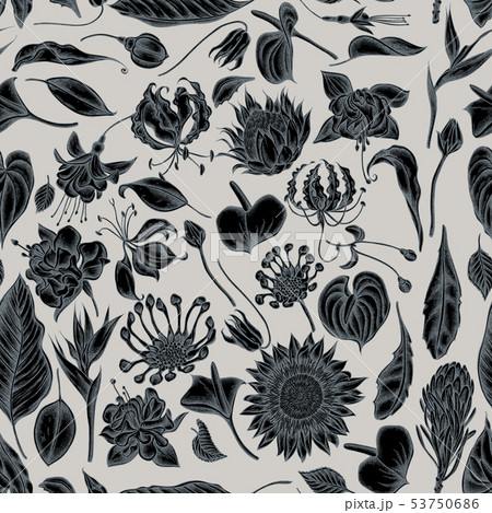 Seamless pattern with hand drawn stylized african daisies, fuchsia, gloriosa, king protea, anthurium 53750686