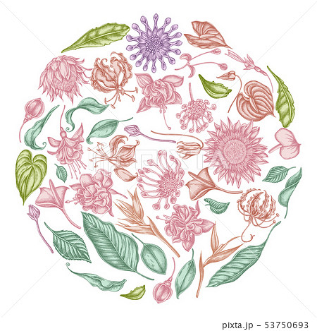 Round floral design with pastel african daisies, fuchsia, gloriosa, king protea, anthurium Round floral design with pastel african daisies, fuchsia, gloriosa, king protea, anthurium 53750693
