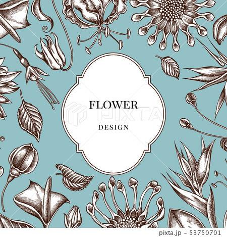 Badge over design with african daisies, fuchsia, gloriosa, king protea, anthurium, strelitzia 53750701