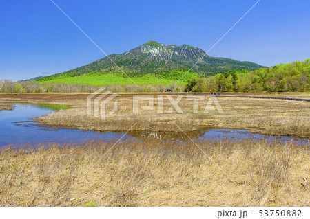 尾瀬ヶ原と燧ケ岳 53750882