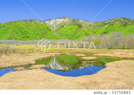 池塘に映る景鶴山と新緑 53750883