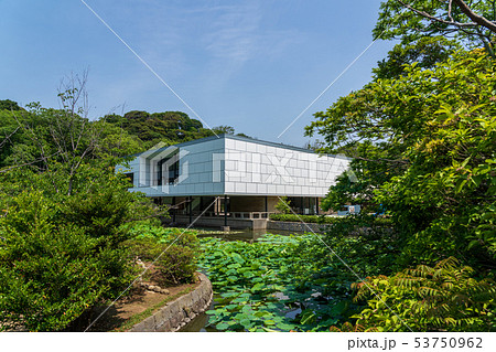 鶴岡八幡宮 神奈川県立近代美術館鎌倉 鶴岡八幡宮 神奈川県立近代美術館鎌倉 53750962
