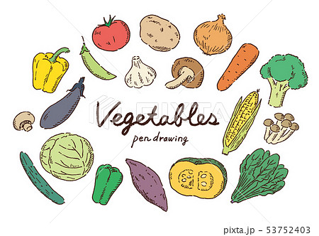 野菜ペン画カラーのイラスト素材