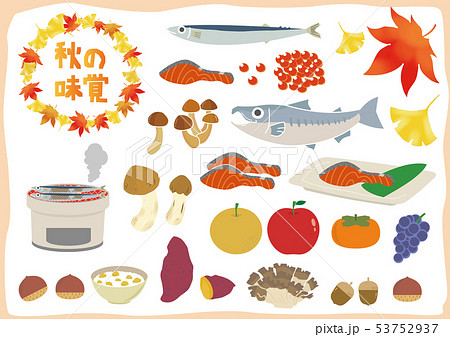 秋の味覚 旬の食材 セットのイラスト素材
