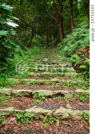 横山展望台への石段 53753102