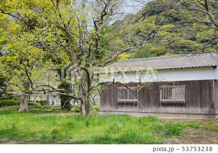 萩城堀端の建物と新緑 53753238