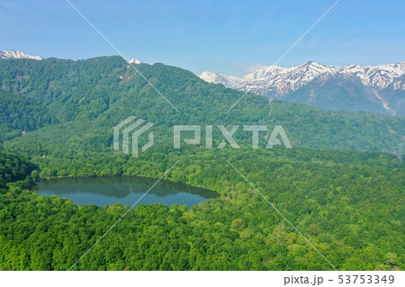 初夏の新潟県糸魚川市の蓮華白池を空撮 53753349