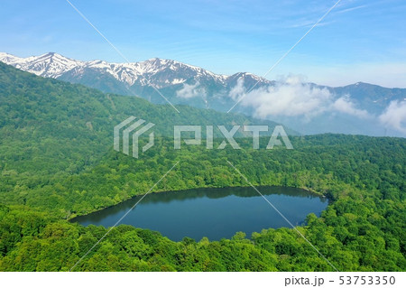 初夏の新潟県糸魚川市の蓮華白池を空撮 53753350