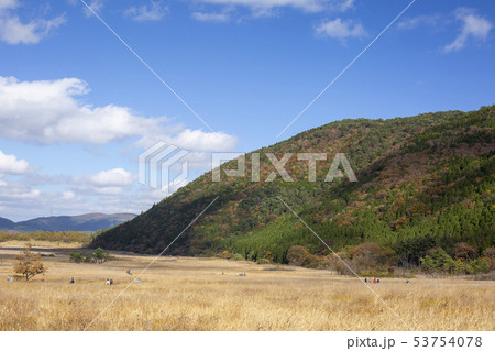 長者原　紅葉とススキ 53754078