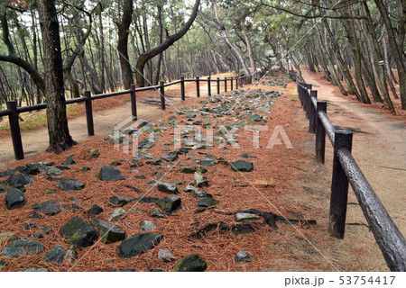 元寇防塁跡　今津防塁 53754417