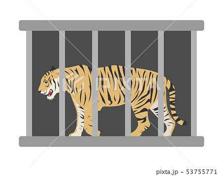 お客様満足度no 1 虎の絵 即日出荷 Www Psic Org Pk