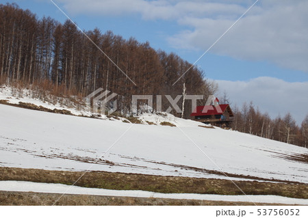 残雪の丘_富良野 53756052