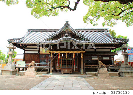 百舌鳥八幡宮/大阪府堺市北区百舌鳥赤畑町5丁 53756159
