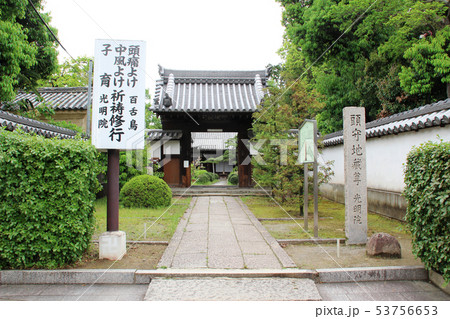 光明院/大阪府堺市北区百舌鳥赤畑町5丁 光明院/大阪府堺市北区百舌鳥赤畑町5丁 53756653