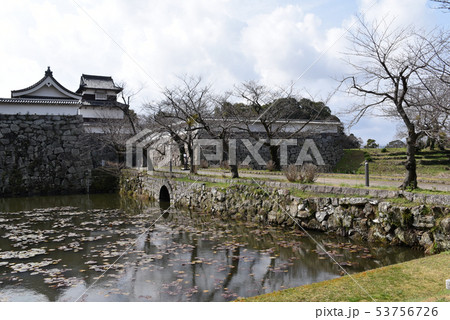 福岡城　下之橋御門と伝塩見櫓 53756726