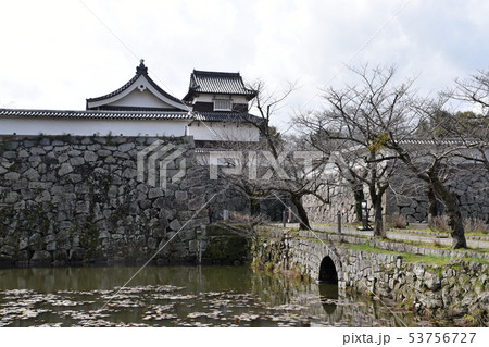 福岡城　下之橋御門と伝塩見櫓 53756727