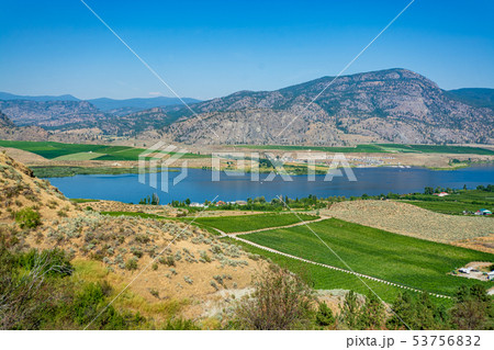 Okanagan valley panoramic view with residential area and orchard farm fields 53756832