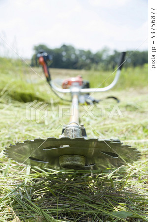 草刈り、除草イメージ　草刈り機　刈り払機　刈払機 53756877