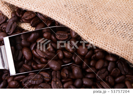 コーヒー豆 コーヒー豆 53757204