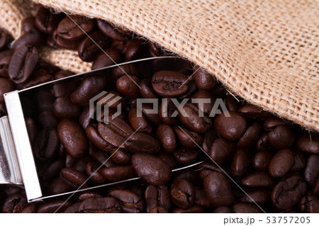 コーヒー豆 コーヒー豆 53757205