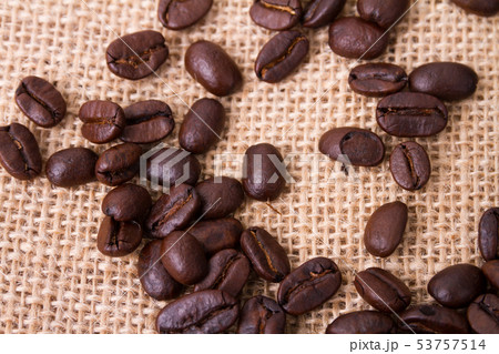 コーヒー豆 コーヒー豆 53757514