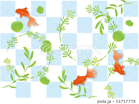 金魚と水草のイラストのイラスト素材