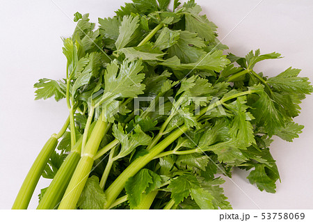 セロリ 53758069