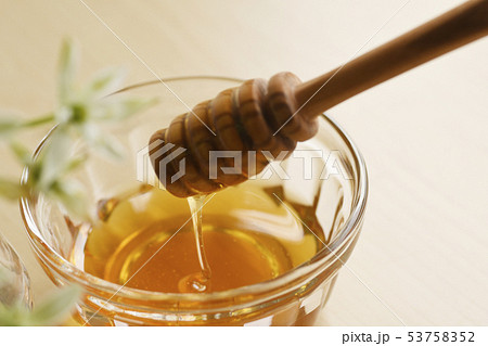 ハチミツ 蜂蜜 はちみつ ハニー ハニー ディッパー 健康 食品 食べ物 フード 甘い ナチュラル ハチミツ 蜂蜜 はちみつ ハニー ハニー ディッパー 健康 食品 食べ物 フード 甘い ナチュラル 53758352