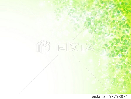 新緑イメージ背景初夏のイラスト素材