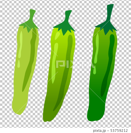 獅子唐 插圖素材 圖庫