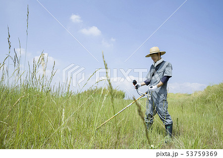 草刈り、除草イメージ 草刈りをする男性 草刈り、除草イメージ 草刈りをする男性 53759369
